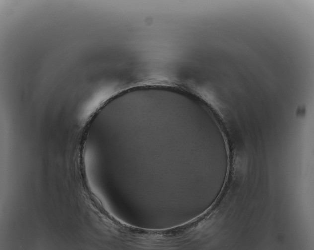 X0000089971455200707061150
