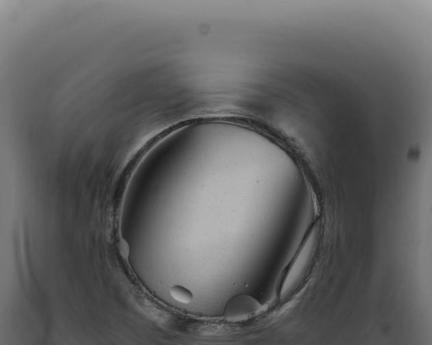 X0000089971457200707061150