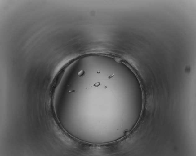 X0000089971458200707061150