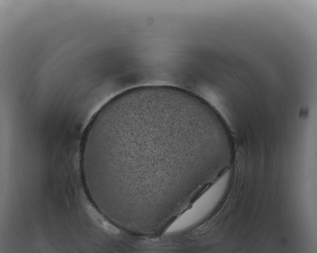 X0000089971460200707061150