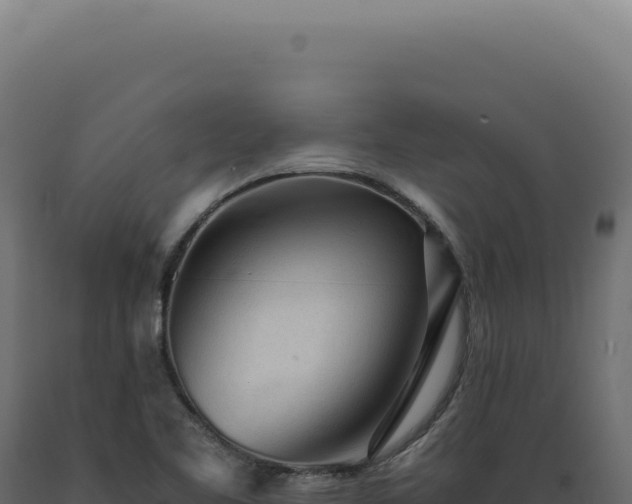 X0000089971461200707061150