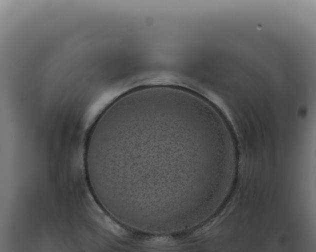 X0000089971464200707061150