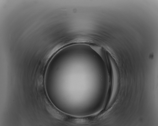 X0000089971465200707061150