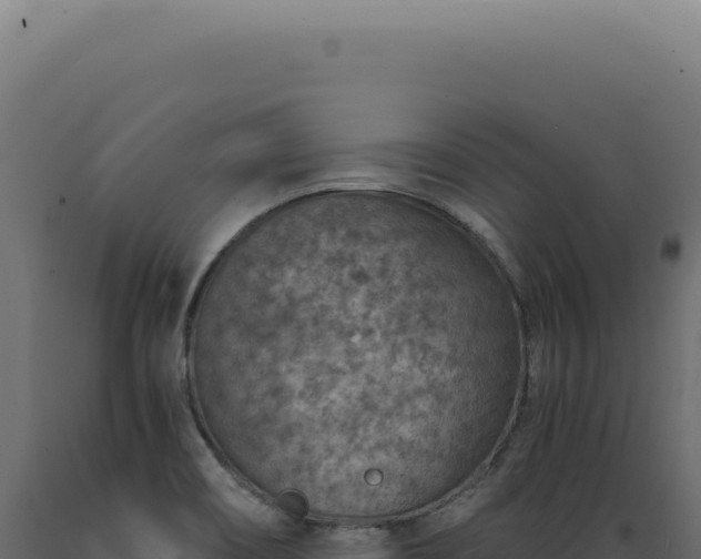 X0000089971466200707061150