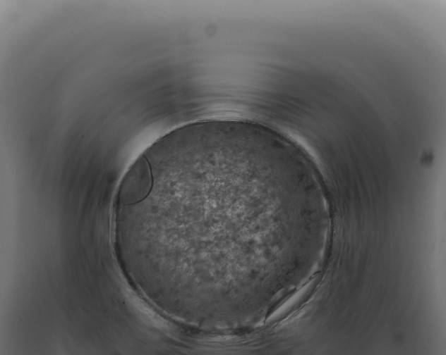 X0000089971467200707061150