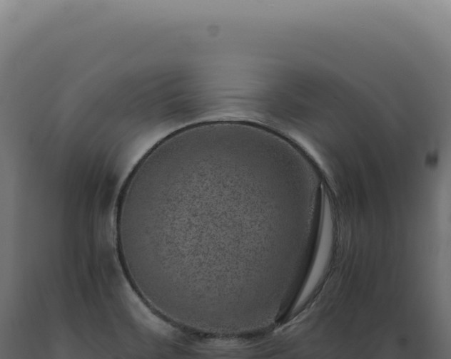 X0000089971468200707061150