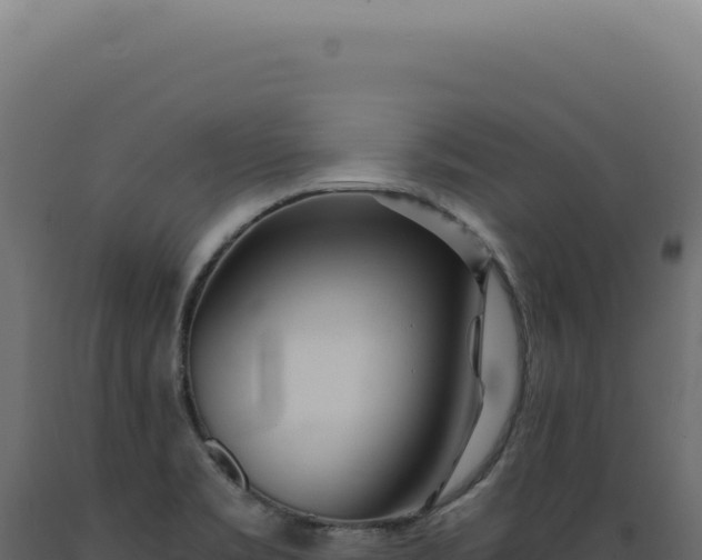 X0000089971469200707061150