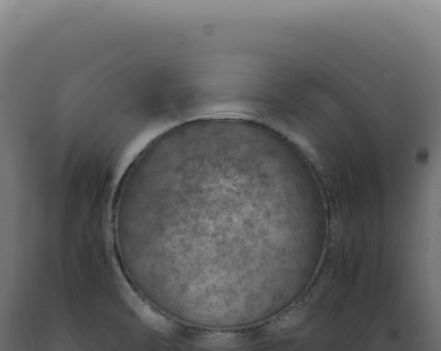 X0000089971470200707061150