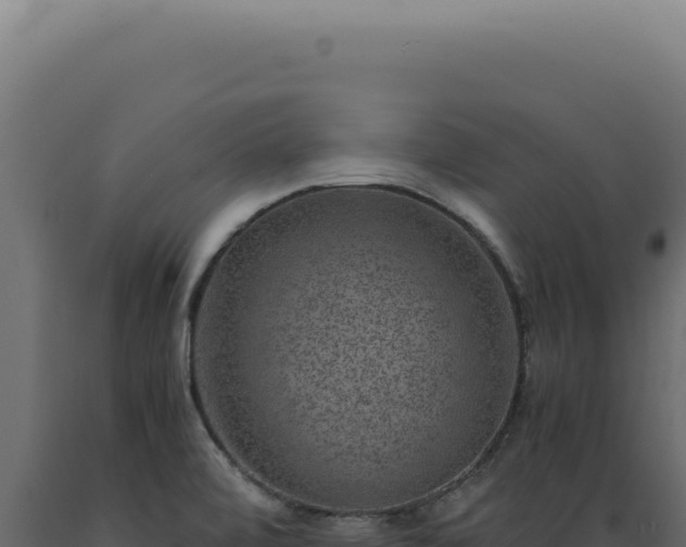 X0000089971472200707061150