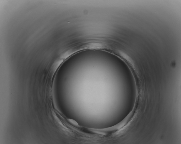 X0000089971473200707061150
