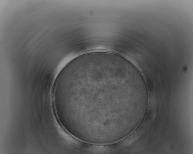 X0000089971474200707061150