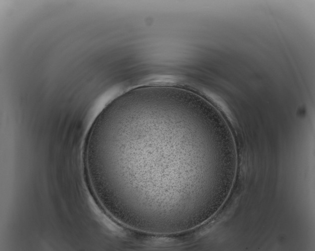 X0000089971475200707061150