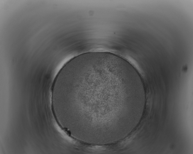X0000089971476200707061150