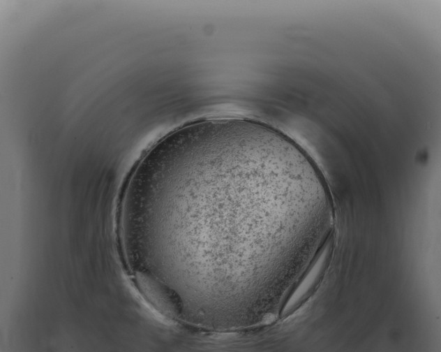 X0000089971477200707061150