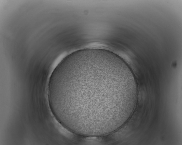 X0000089971478200707061150