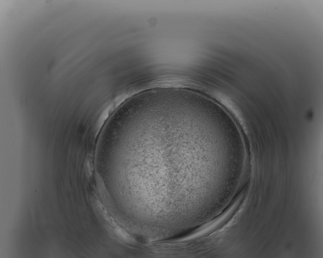 X0000089971481200707061150