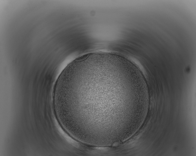 X0000089971483200707061150