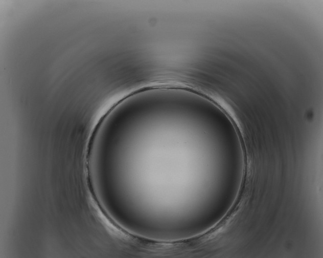 X0000089971485200707061150