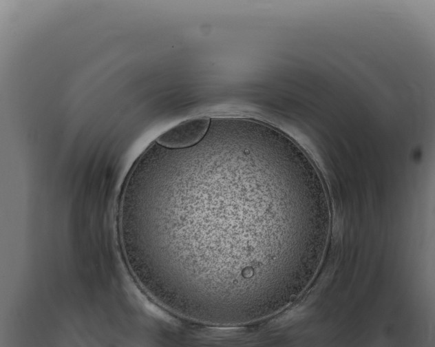 X0000089971486200707061150