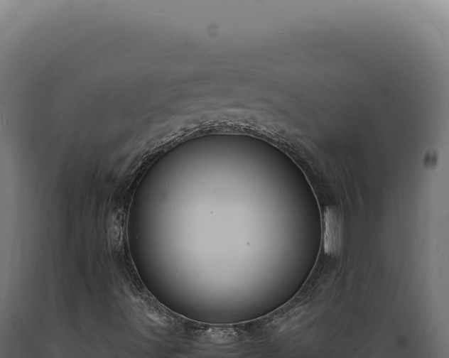 X0000089971491200707061149
