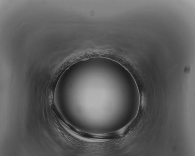 X0000089971492200707061149