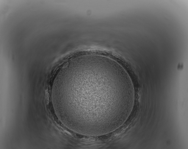 X0000089971493200707061149