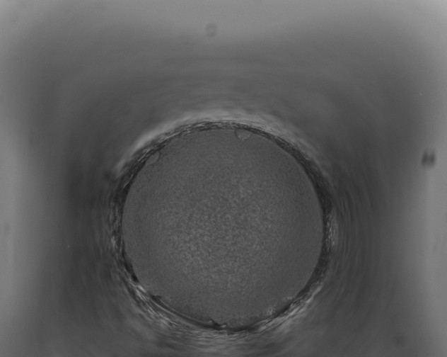 X0000089971494200707061149