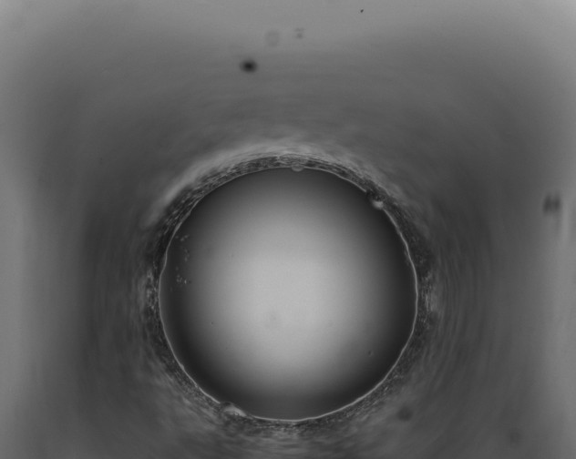 X0000089971495200707061149