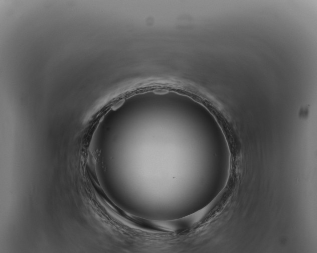 X0000089971496200707061149