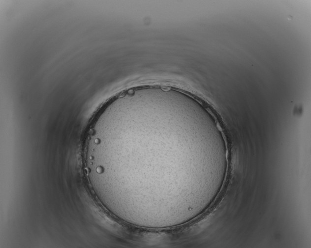 X0000089971498200707061149