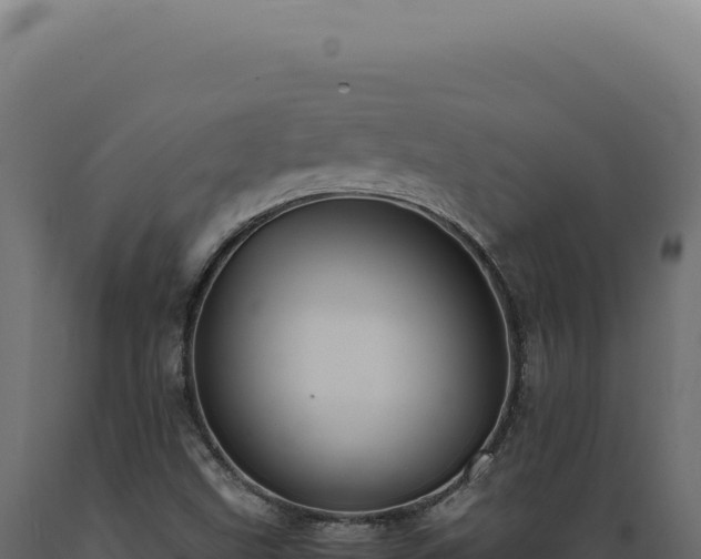 X0000089971499200707061149