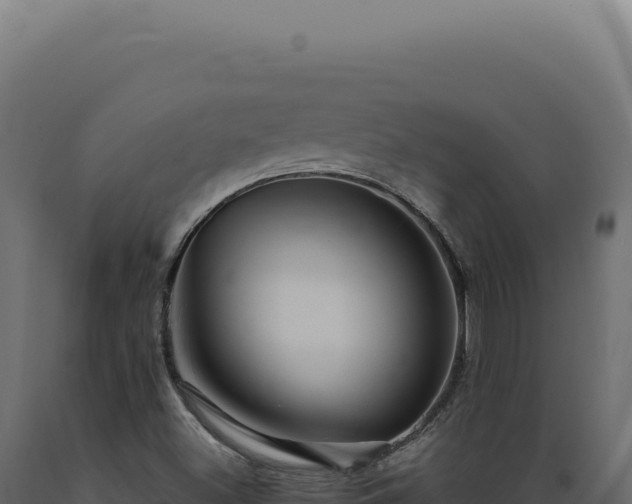 X0000089971500200707061149