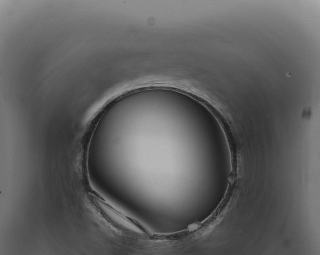 X0000089971502200707061149