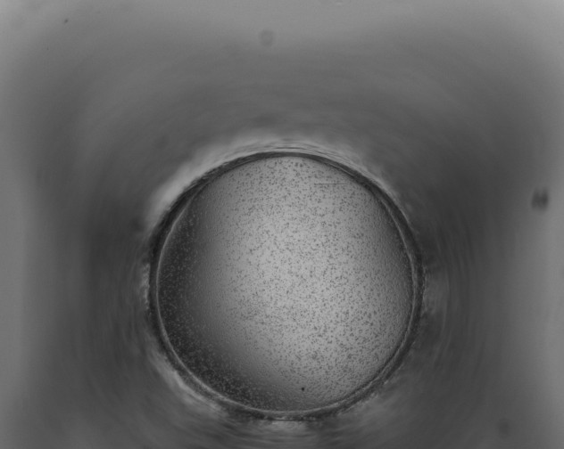 X0000089971503200707061149
