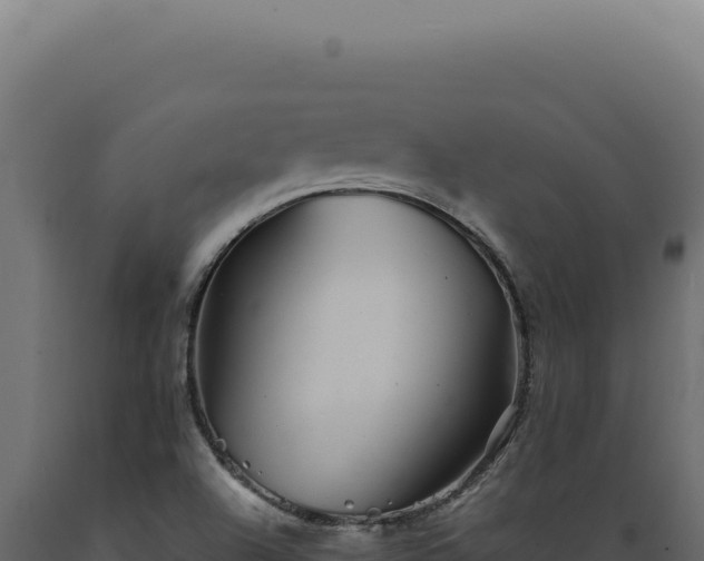 X0000089971504200707061149