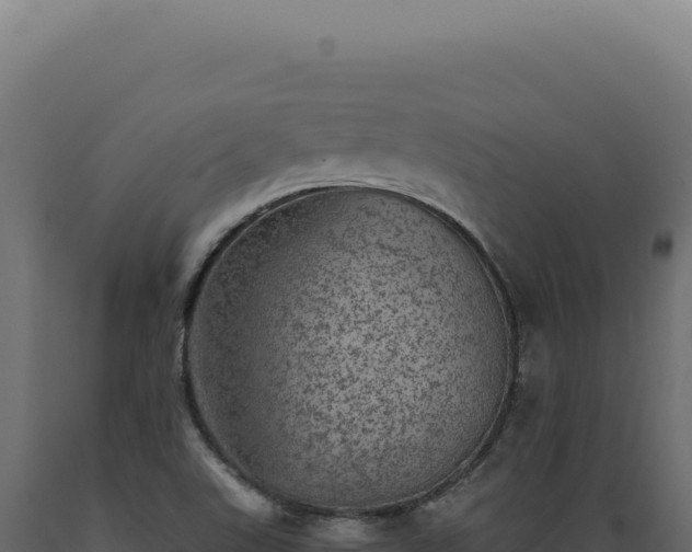 X0000089971507200707061149