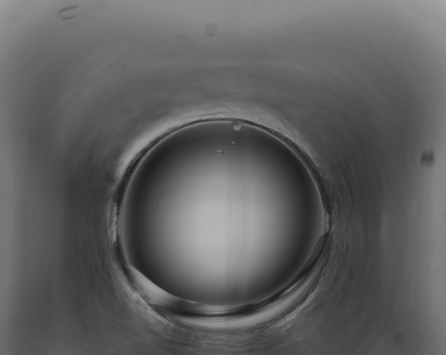 X0000089971510200707061150