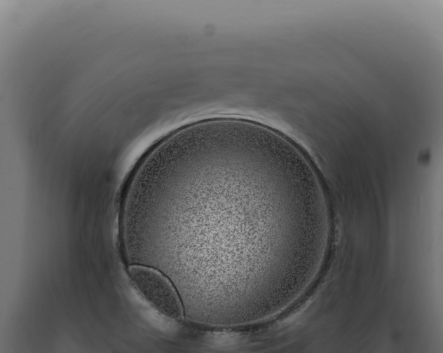 X0000089971511200707061150