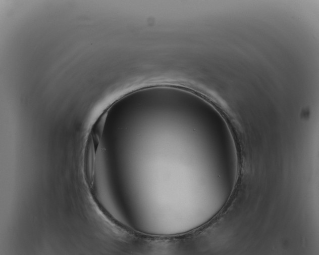 X0000089971512200707061150
