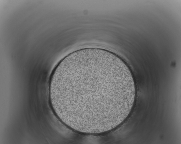 X0000089971514200707061150