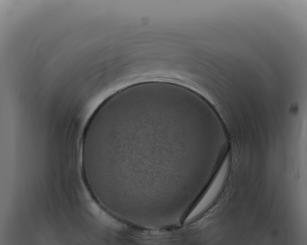 X0000089971515200707061150
