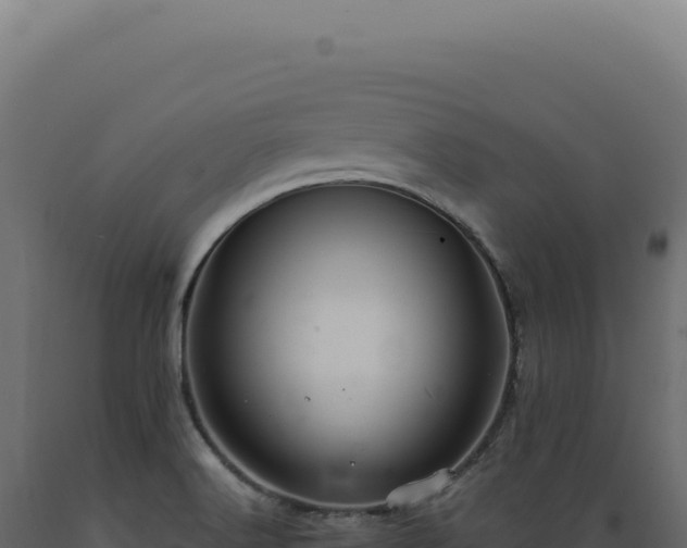 X0000089971516200707061150