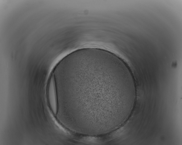 X0000089971517200707061150