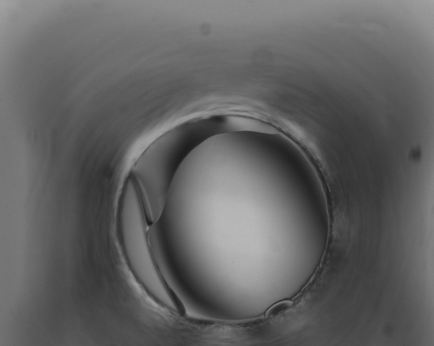 X0000089971520200707061150