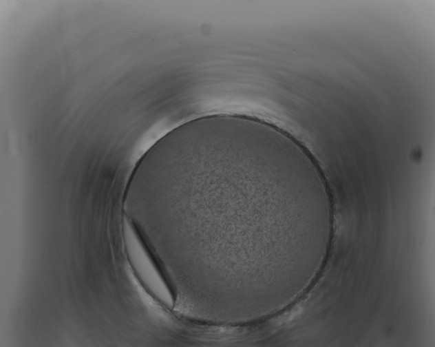 X0000089971521200707061150