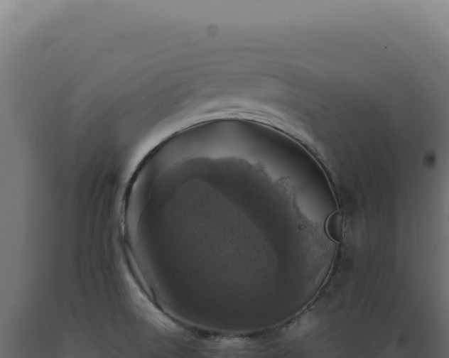 X0000089971522200707061150
