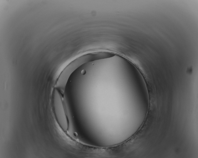 X0000089971524200707061150