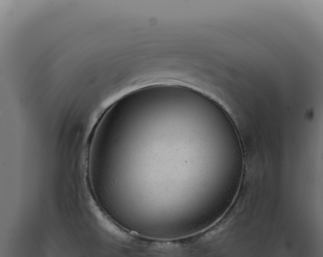 X0000089971526200707061150