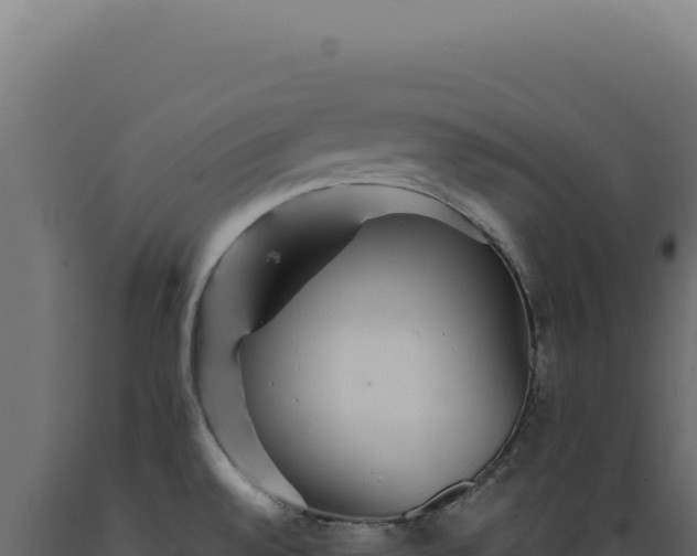 X0000089971528200707061150
