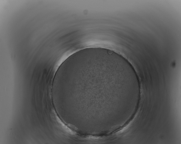 X0000089971529200707061150